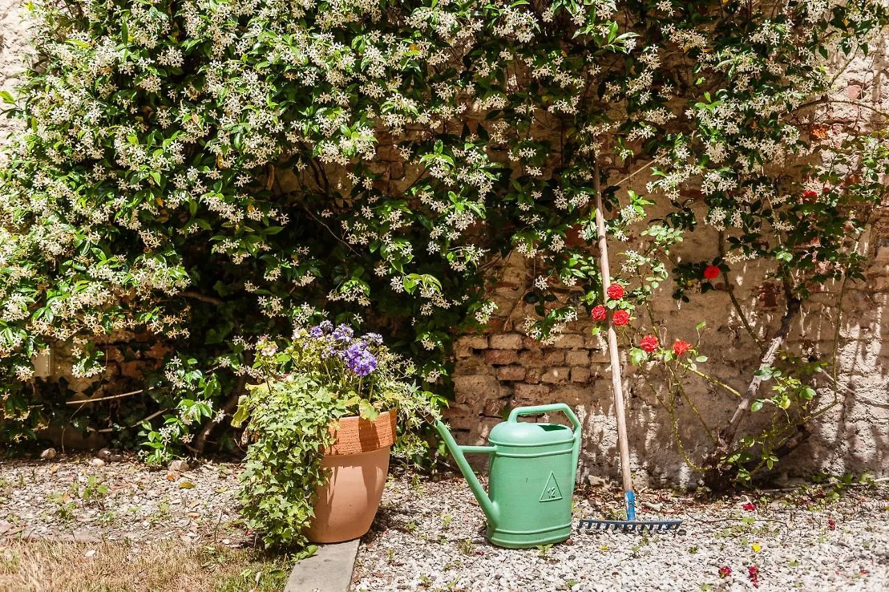 Appartamento Hostly - Garden House Near The Tower - Historical House With Private Garden Pisa